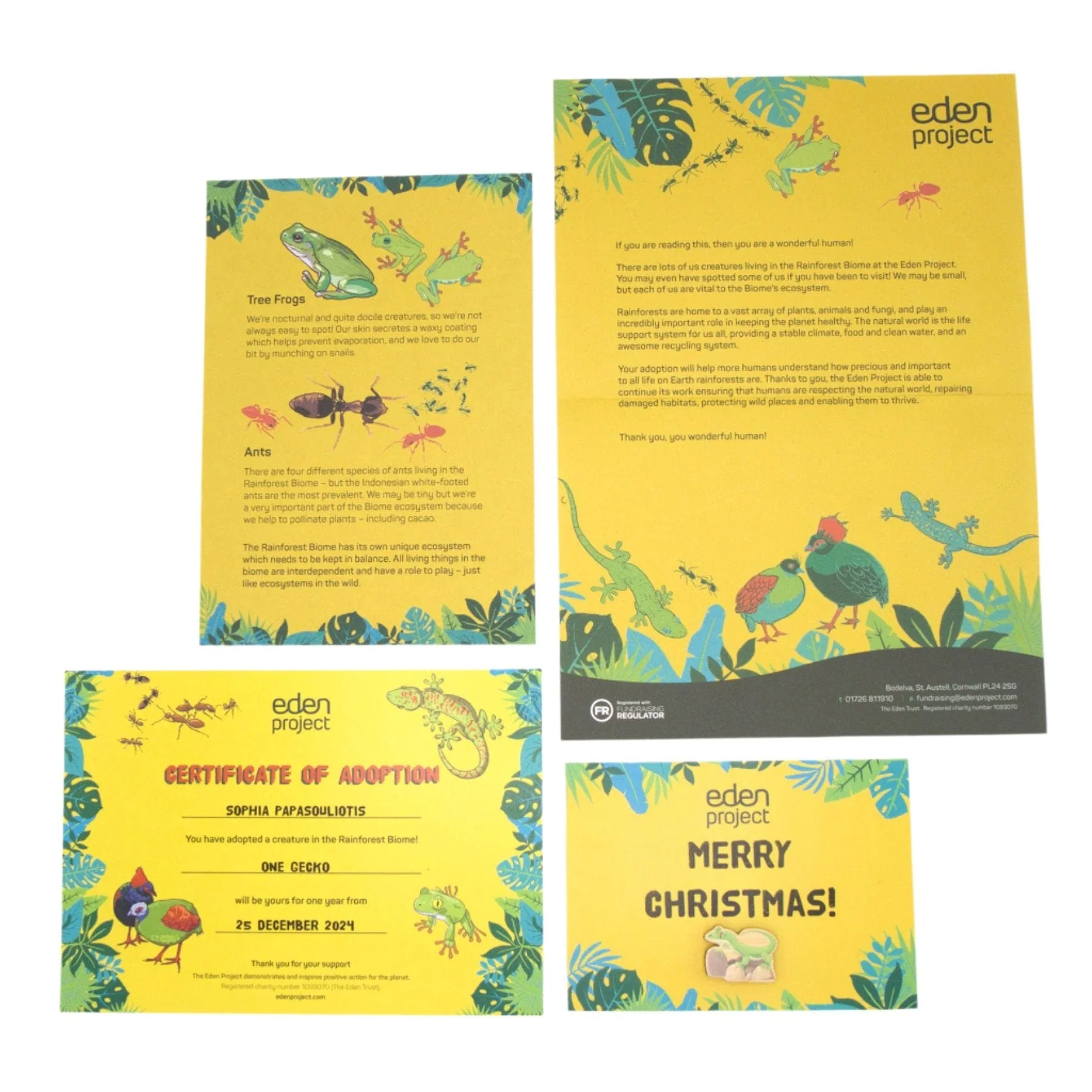 Adopt a Gecko - Image 3