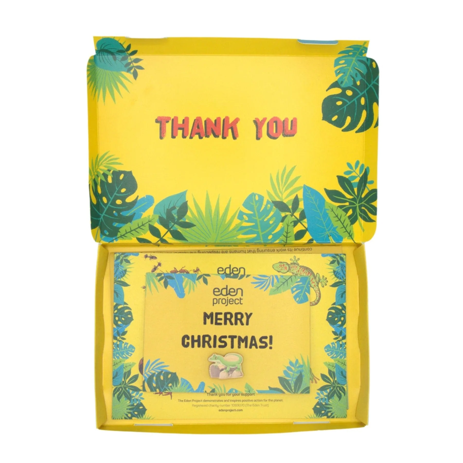 Adopt a Gecko - Image 4