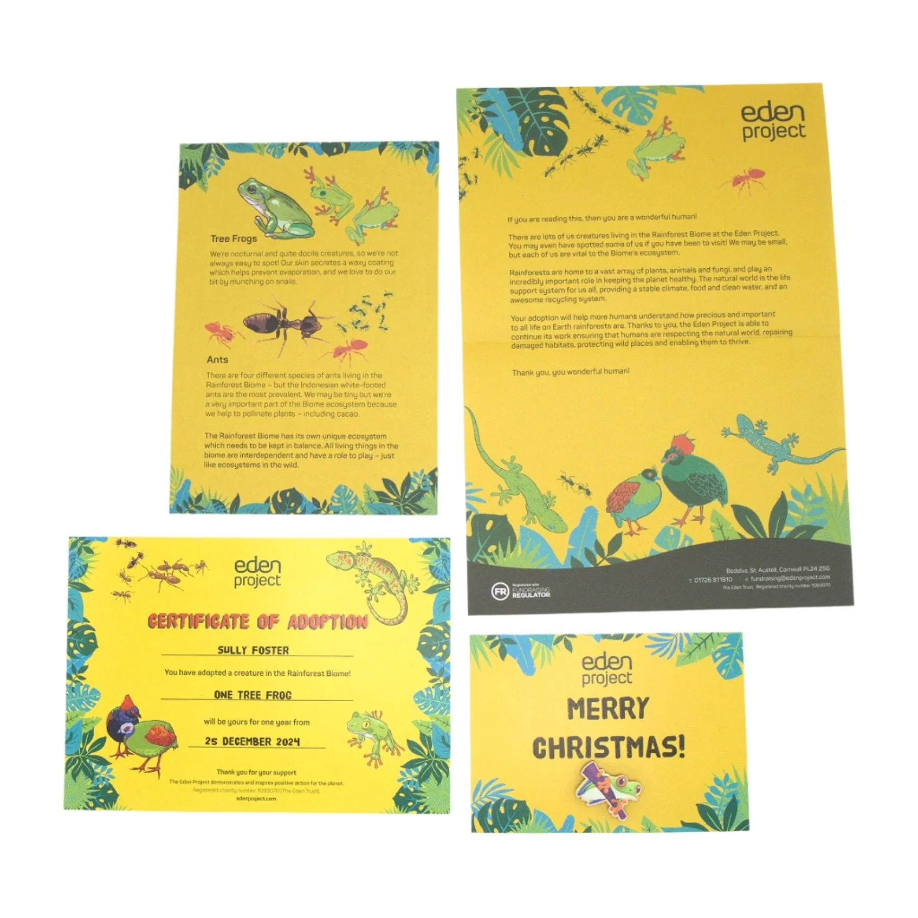 Adopt a Roul-Roul - Image 3