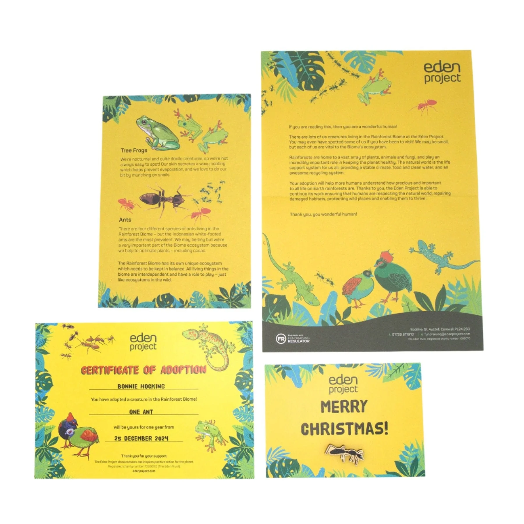 Adopt an Ant - Image 3