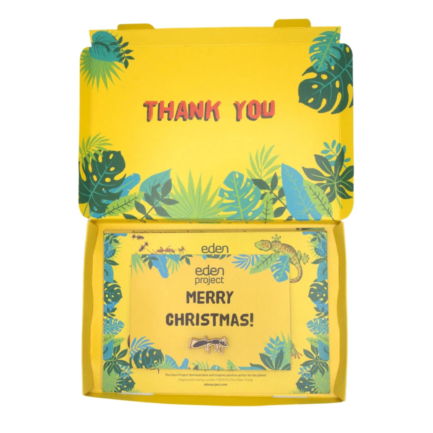 Adopt an Ant - Image 4