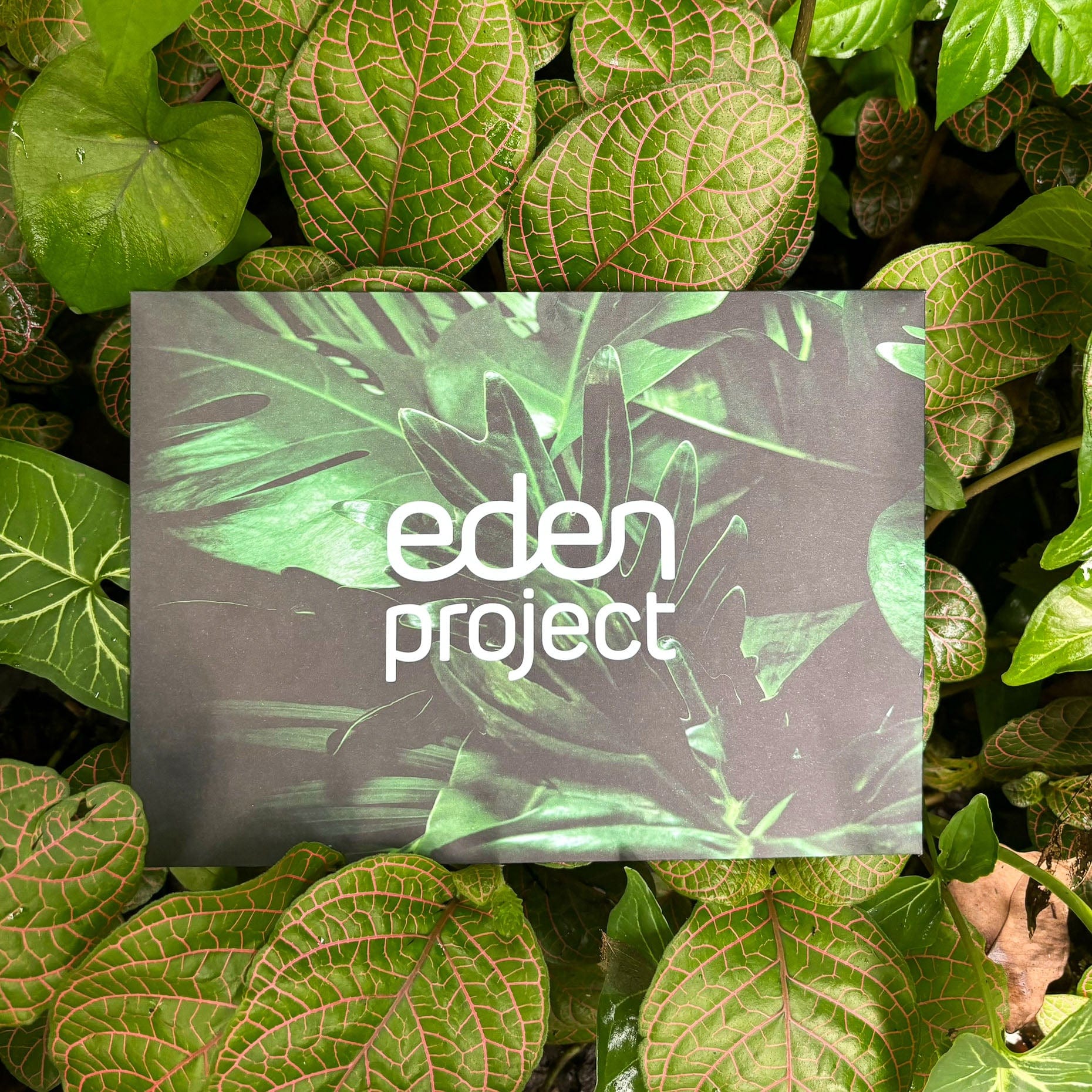 Gift Membership - Individual 60+ - Image 3