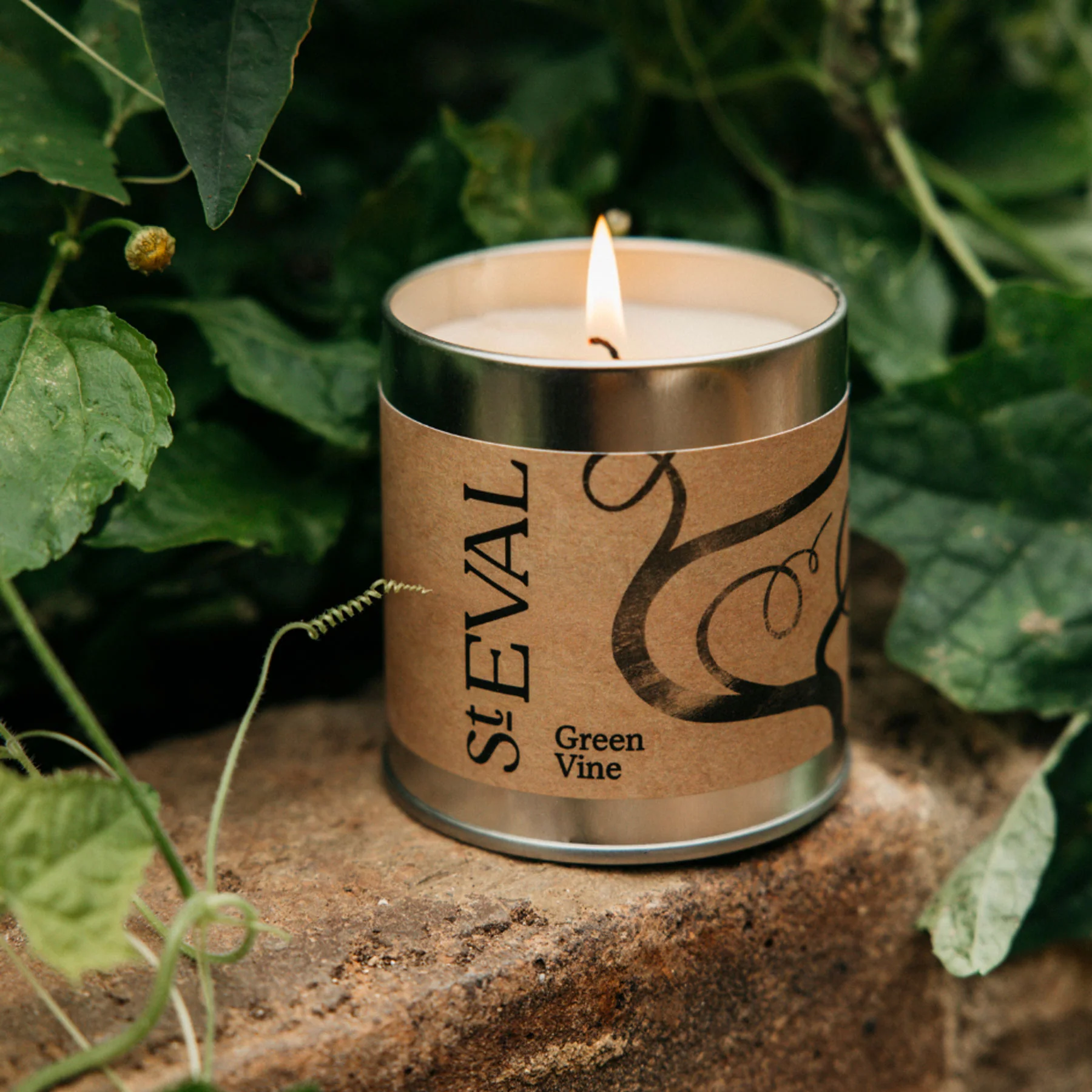 Green vine scented tin candle - Image 3
