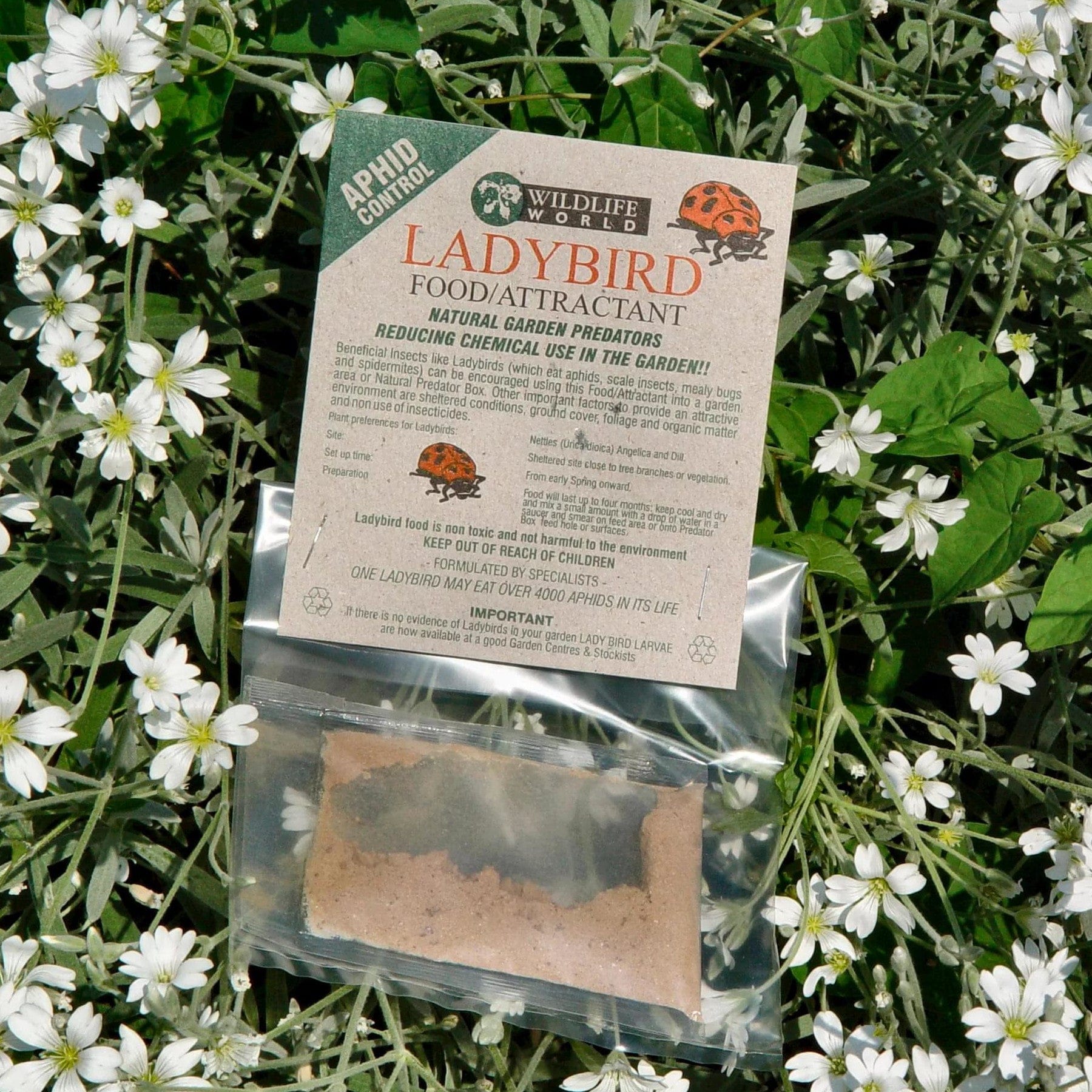 Ladybird food & attractant - Image 3