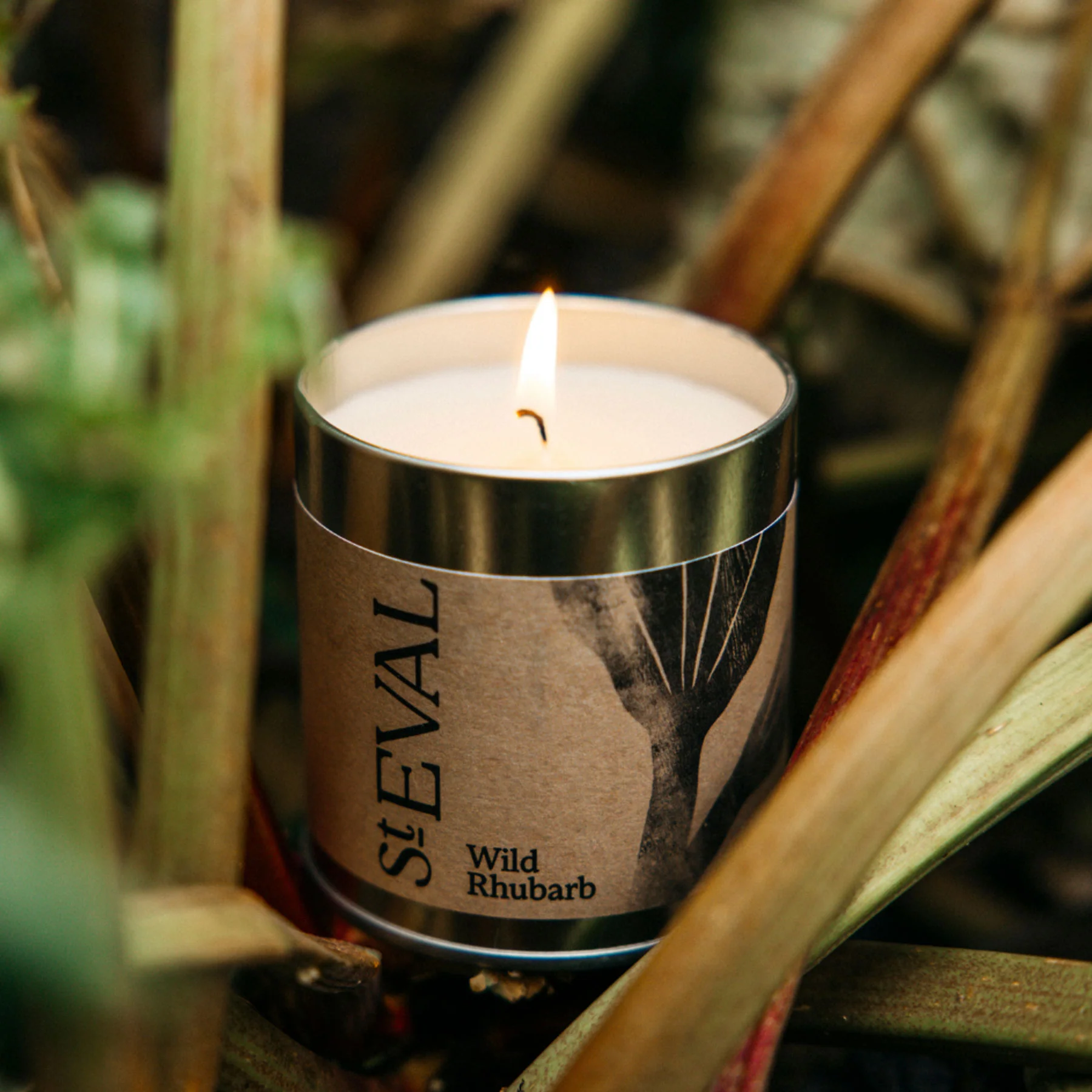 Wild rhubarb scented tin candle - Image 3
